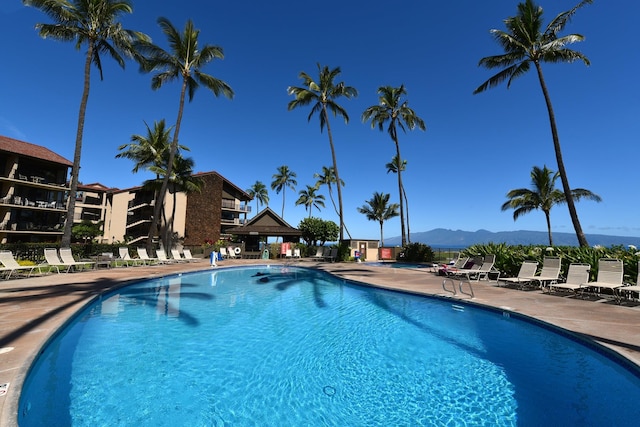 view of pool with a mountain view and a patio area