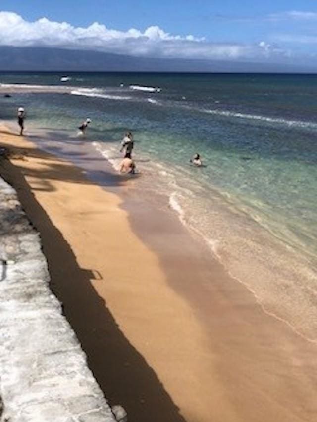 property view of water featuring a beach view