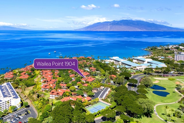 drone / aerial view featuring a water and mountain view