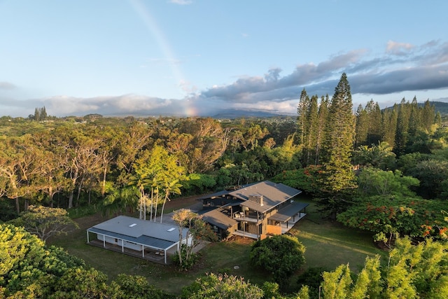 965 Hog Back Rd Unit 1, Haiku, HI 96708 - aerial view of property and surrounding area featuring a heavily wooded area