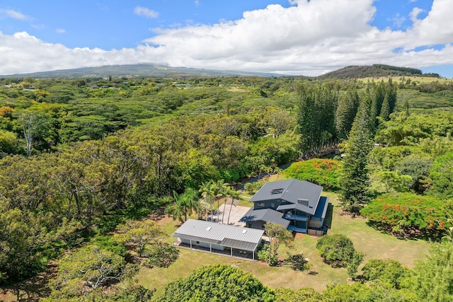 965 Hog Back Rd Unit 1, Haiku, HI 96708 - view from above of property with a forest