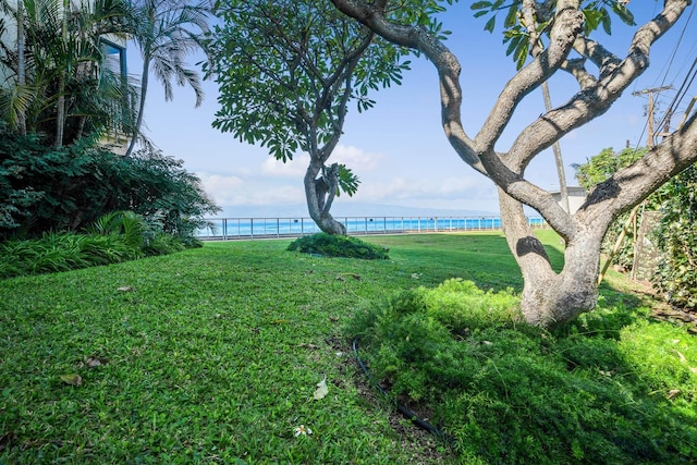 view of yard featuring a water view