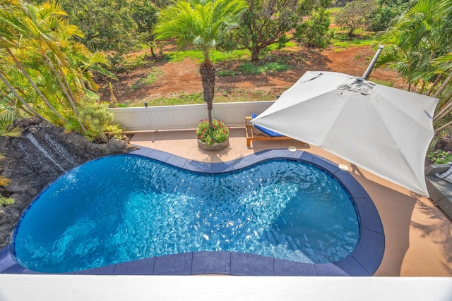 view of swimming pool featuring a patio area