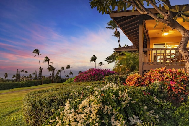 exterior space featuring ceiling fan