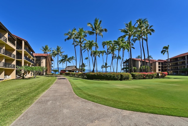 view of property's community featuring a yard