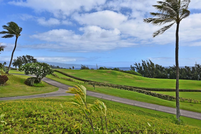 view of property's community with a mountain view and a yard