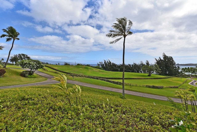 view of home's community with a water view and a yard