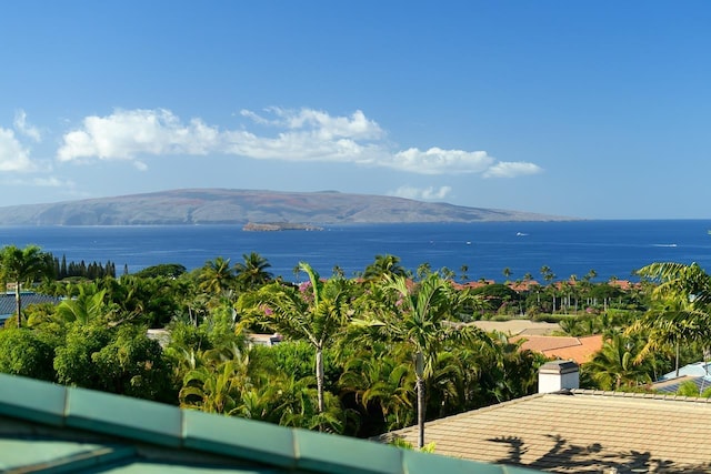 property view of water with a mountain view