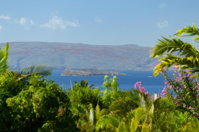 water view featuring a mountain view