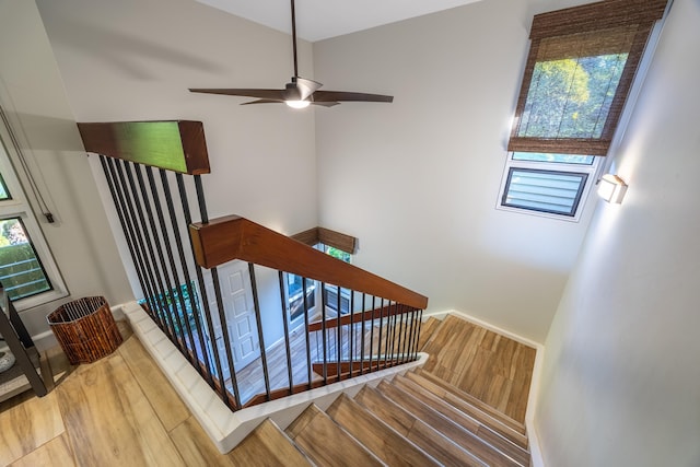 staircase featuring hardwood / wood-style flooring