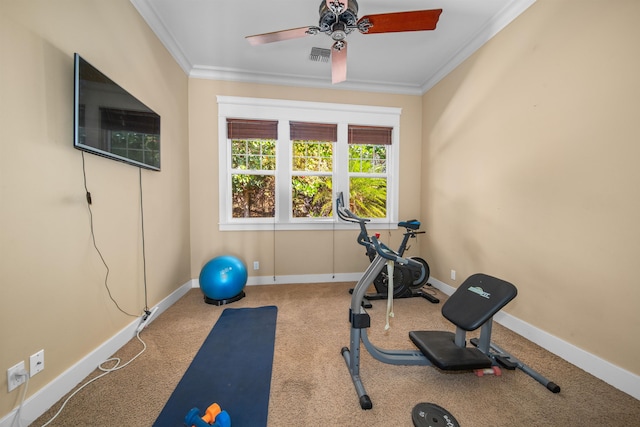 exercise room with ceiling fan, carpet, and ornamental molding