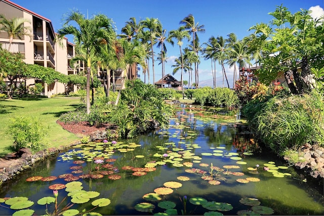 surrounding community with a small pond and a lawn