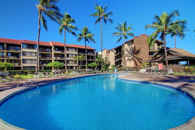 view of pool with a patio area