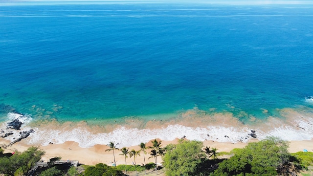 aerial view featuring a water view and a view of the beach