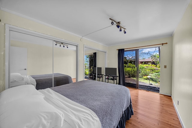 bedroom with multiple windows, light wood-style flooring, access to exterior, and multiple closets