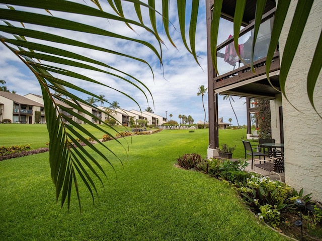 view of yard featuring a patio