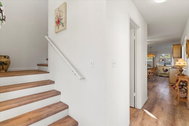 stairs with hardwood / wood-style floors