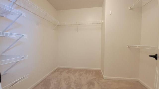 spacious closet featuring carpet