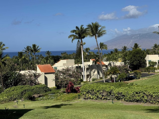 view of community with a mountain view and a yard