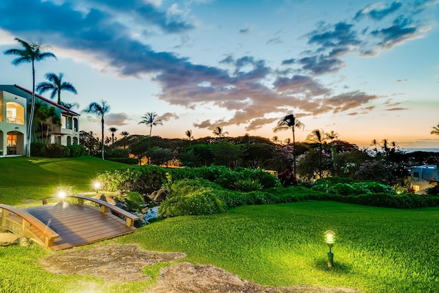 view of yard at dusk