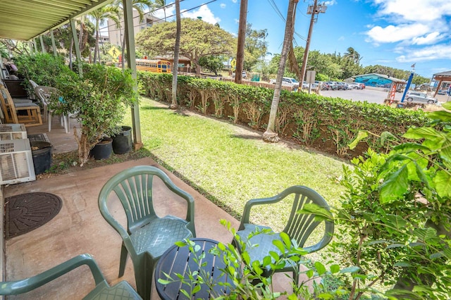 view of yard featuring a patio