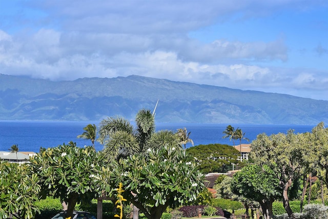 view of mountain feature with a water view