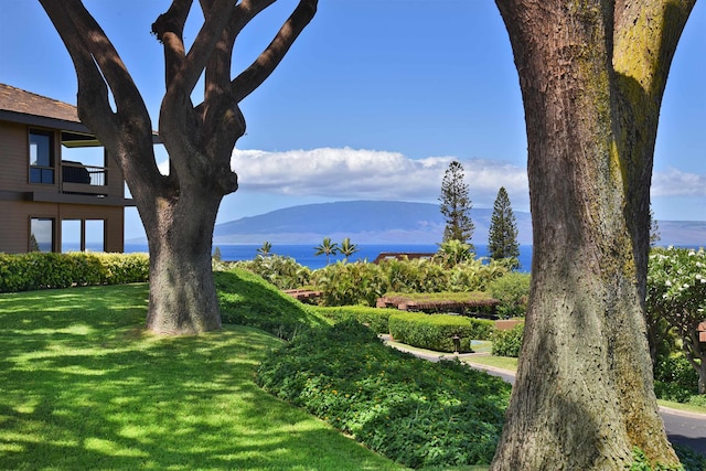 view of yard featuring a water and mountain view