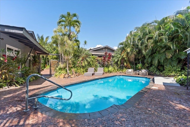 view of swimming pool with a patio