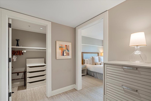 interior space with baseboards, a closet, and light colored carpet