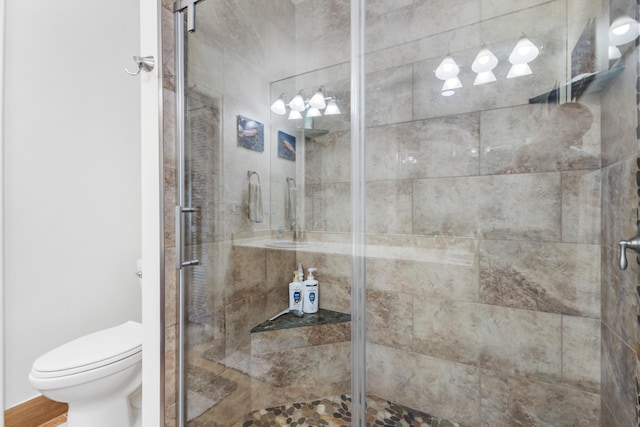 bathroom featuring toilet and walk in shower