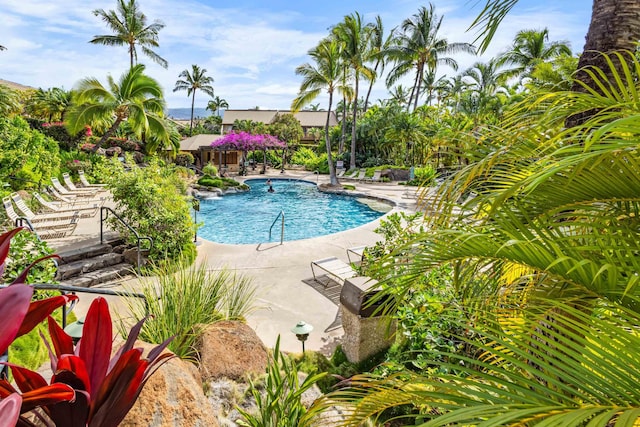 view of swimming pool featuring a patio