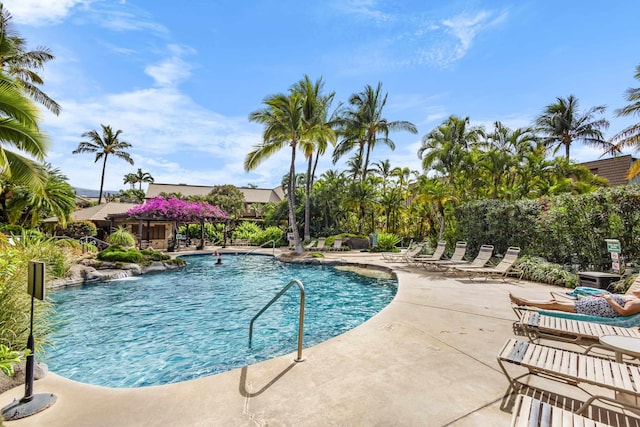 view of swimming pool with a patio area