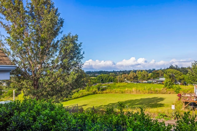 view of home's community with a lawn