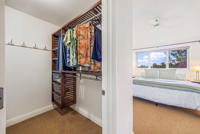 spacious closet featuring carpet and ceiling fan