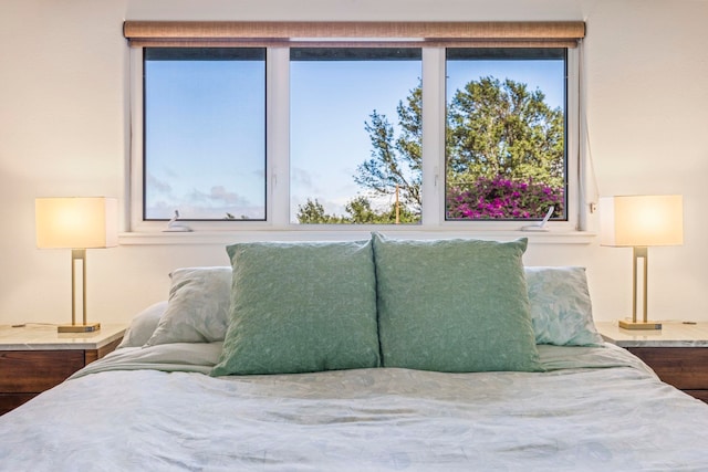 bedroom featuring hardwood / wood-style floors