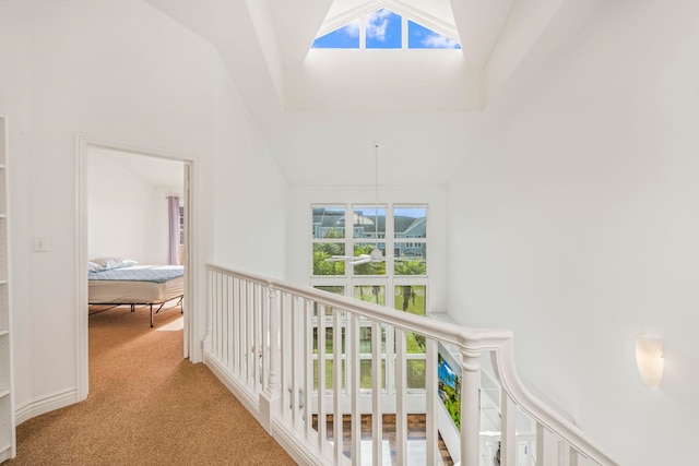 corridor featuring light colored carpet and lofted ceiling