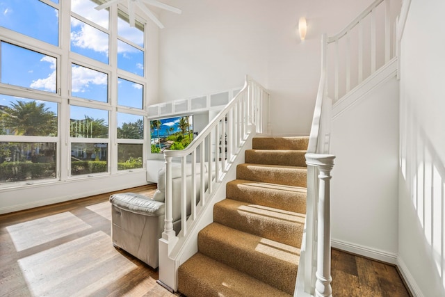 stairway featuring a towering ceiling and wood-type flooring