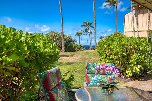 50 Kepuhi Pl Unit 128, Maunaloa, HI 96770 - view of yard