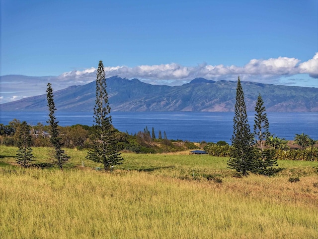 98 Keoawa Pl Unit 8, Lahaina HI, 96761 land for sale