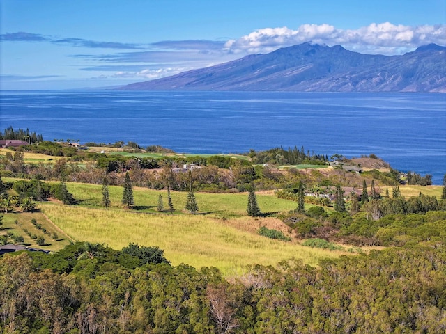 Listing photo 3 for 98 Keoawa Pl Unit 8, Lahaina HI 96761