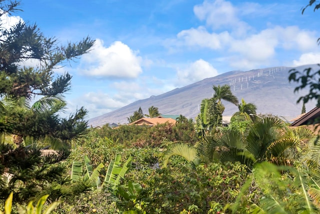 view of mountain feature