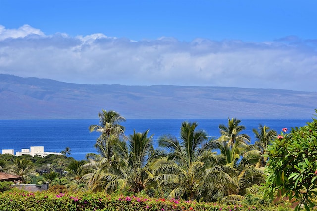 water view with a mountain view