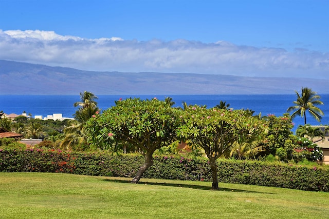 view of water feature featuring a mountain view