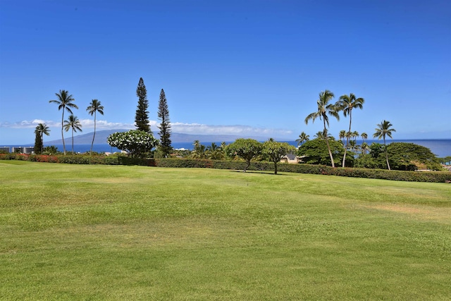 surrounding community featuring a yard and a water view