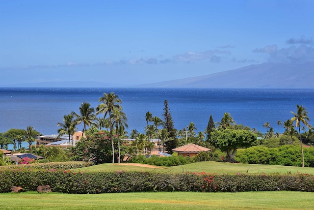 property view of water