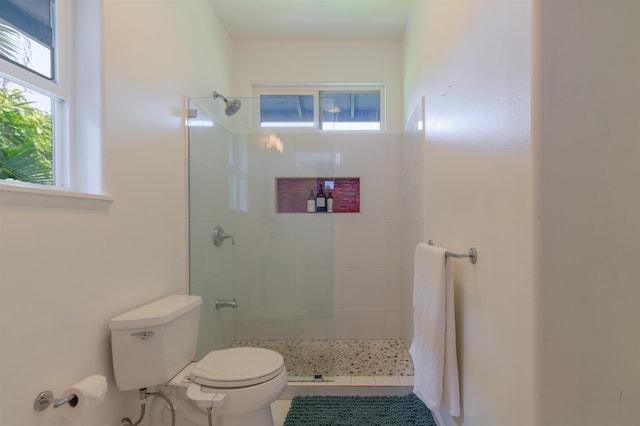 568 Hana Hwy Unit B, Paia, HI 96779 - full bath featuring toilet, healthy amount of natural light, and a tile shower