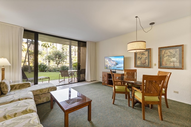 carpeted living room featuring floor to ceiling windows