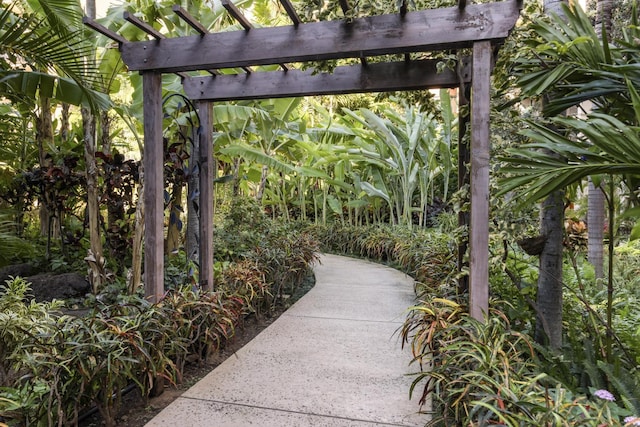 view of community featuring a pergola