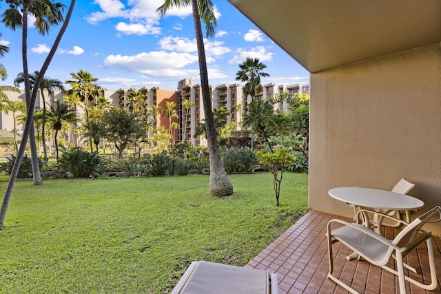 view of yard featuring a patio area