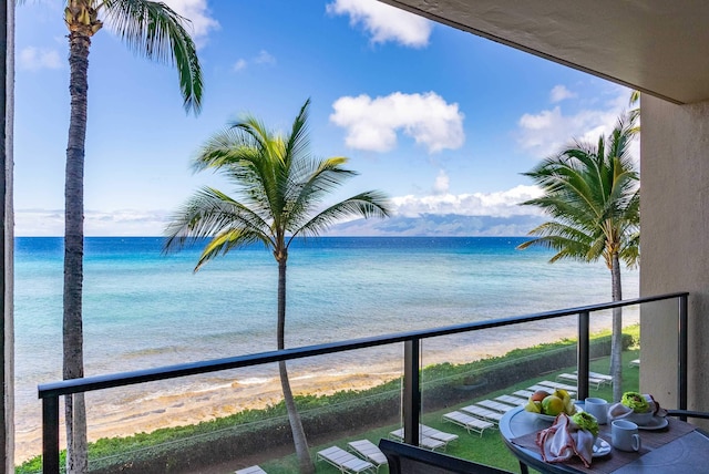 water view with a view of the beach